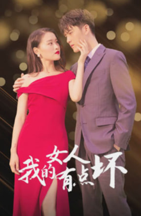 新我的女人有点坏海报