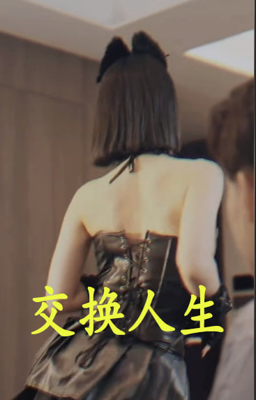 交换人生海报