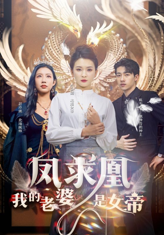凤求凰我的老婆是女帝海报