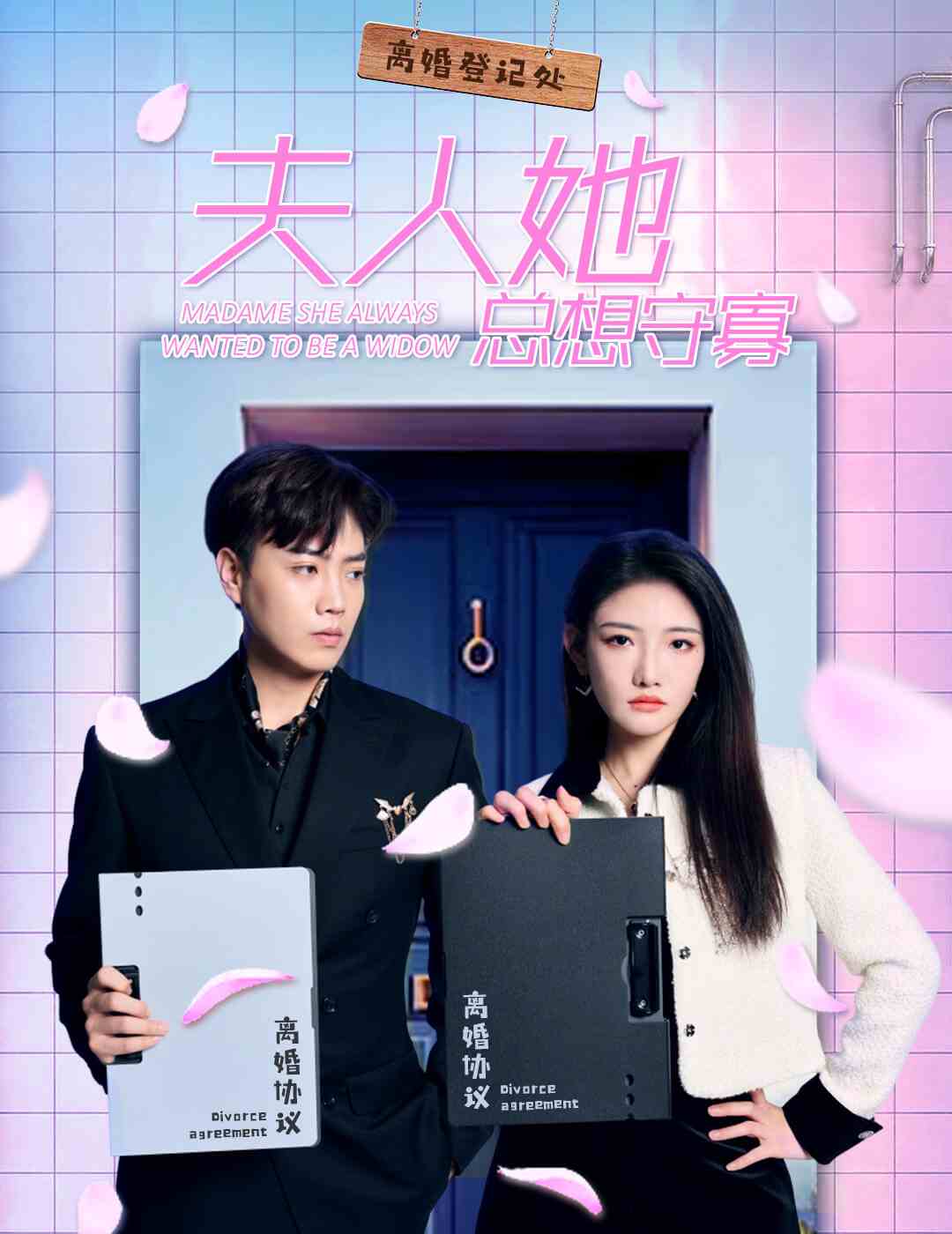 夫人她总想守寡海报