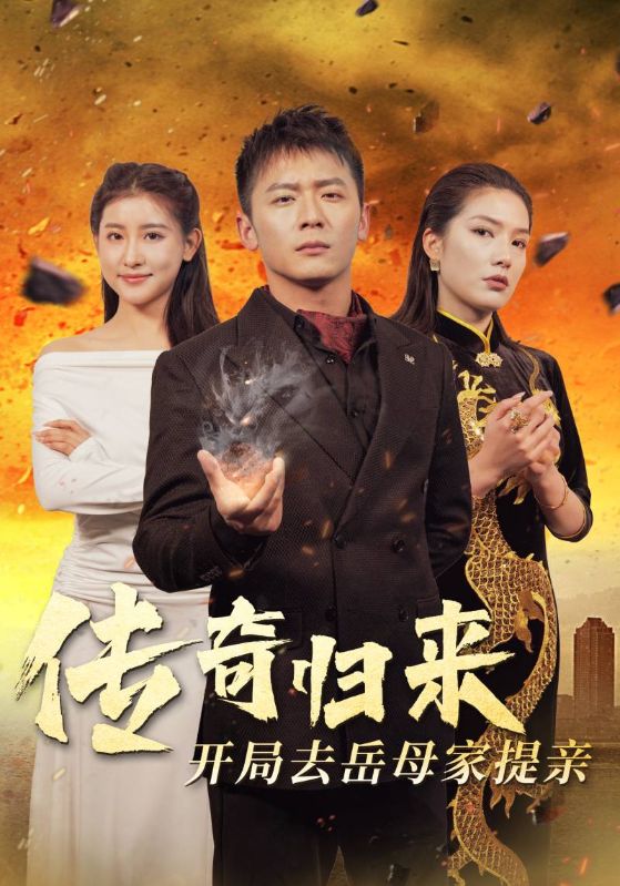 传奇归来开局去岳母家提亲海报