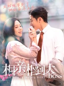 相亲相到大boss海报