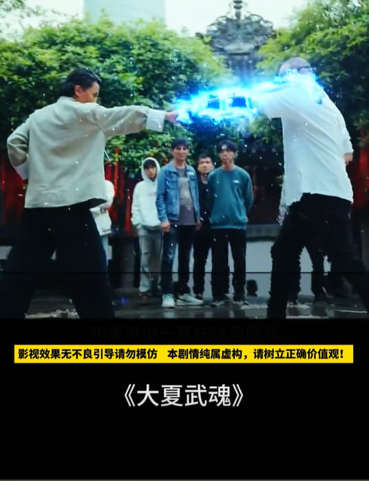 大夏武魂海报