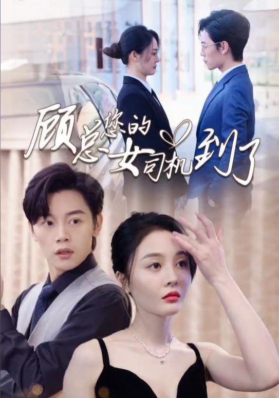顾总您的女司机到了海报