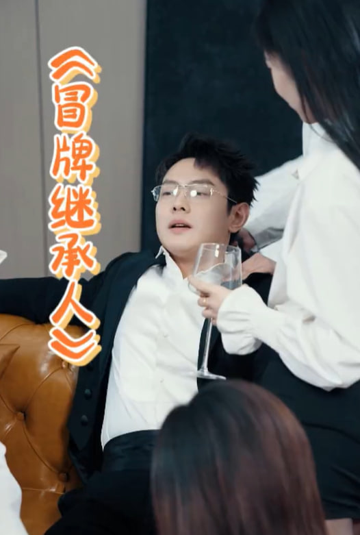 冒牌继承人海报
