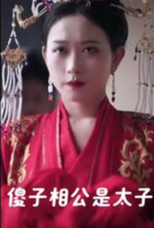 傻子相公是太子海报