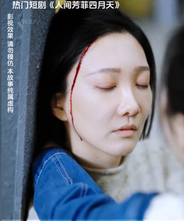 人间芳菲四月天海报