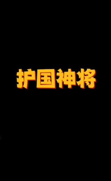 护国神将海报