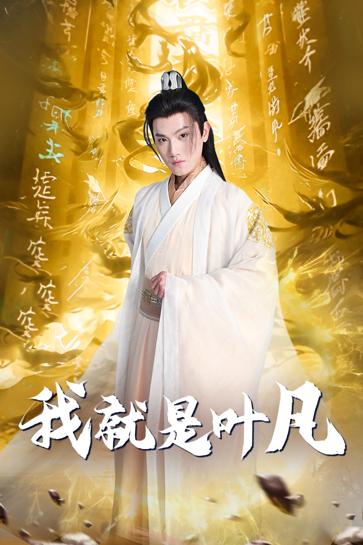 我就是叶凡海报