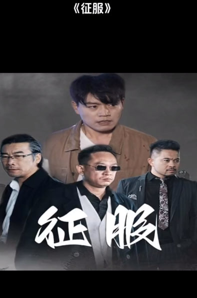 征服短剧海报