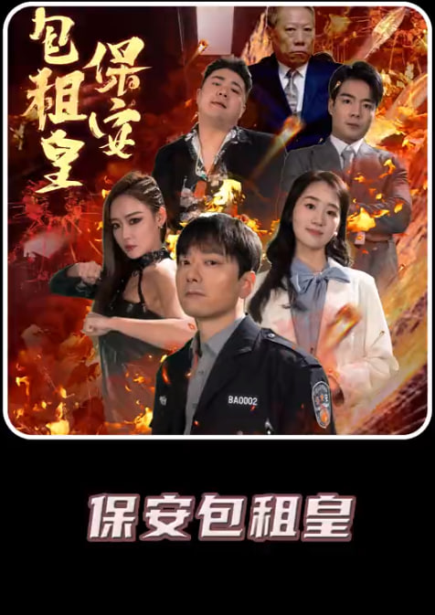 保安包租皇海报