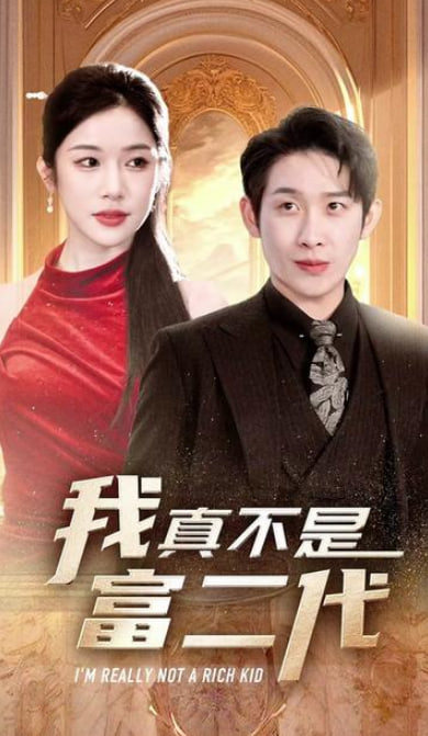 我真不是富二代海报