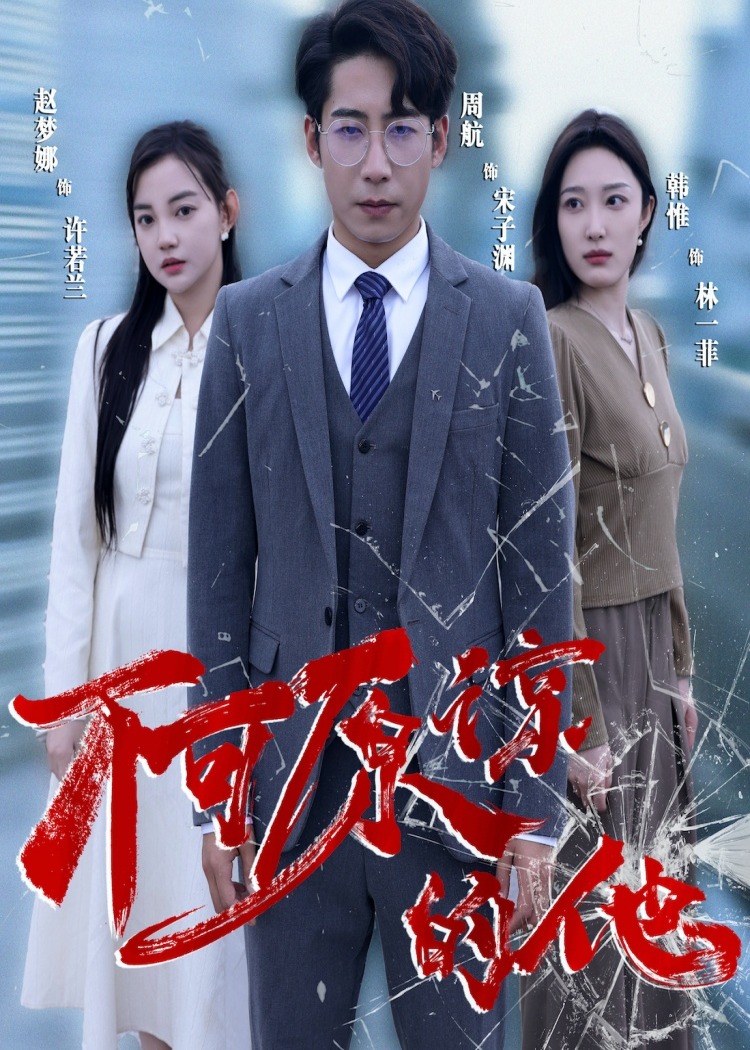不可原谅的他海报