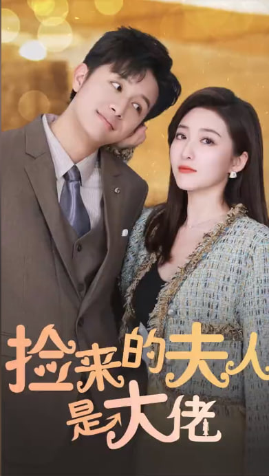 捡来的夫人是大佬海报