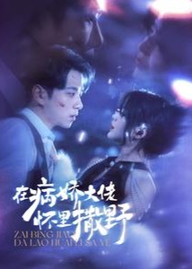 在病娇大佬怀里撒野海报