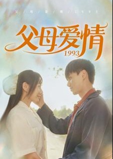 父母爱情1993海报