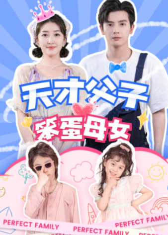 天才父子笨蛋母女海报
