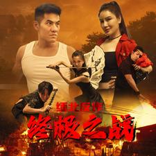 缅北反诈之终极之战海报