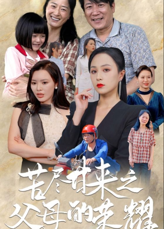 苦尽甘来之父母的荣耀海报