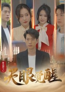 赘婿之天眼觉醒海报