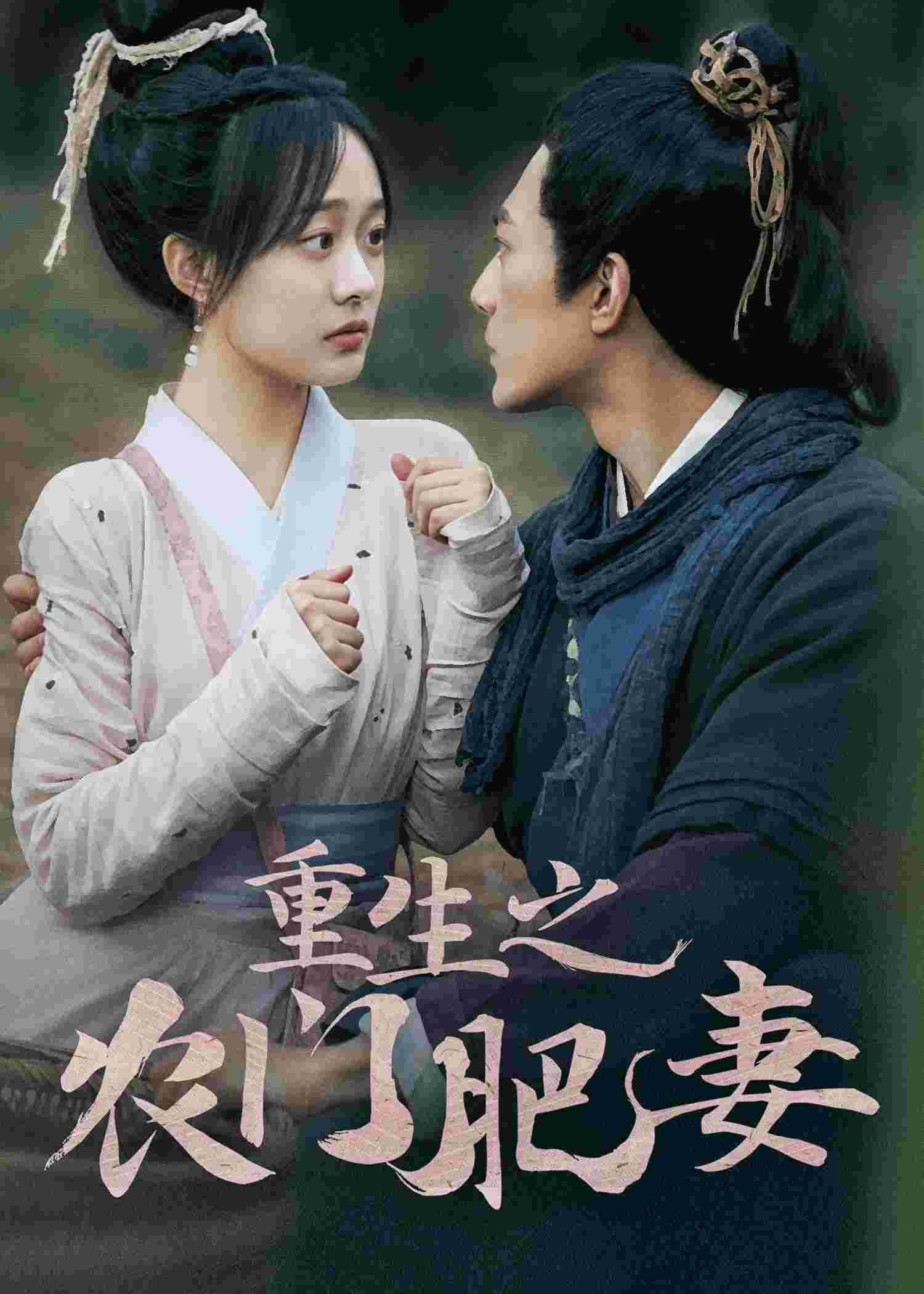 重生之农门肥妻海报