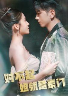 对不起姐就是豪门海报