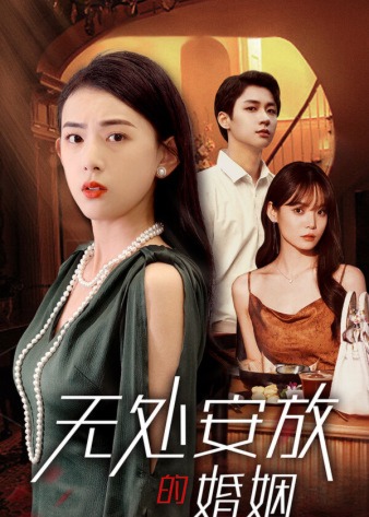 无处安放的婚姻海报