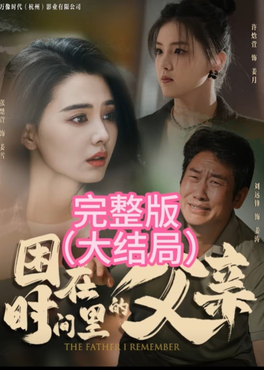 困在时间里的父亲海报