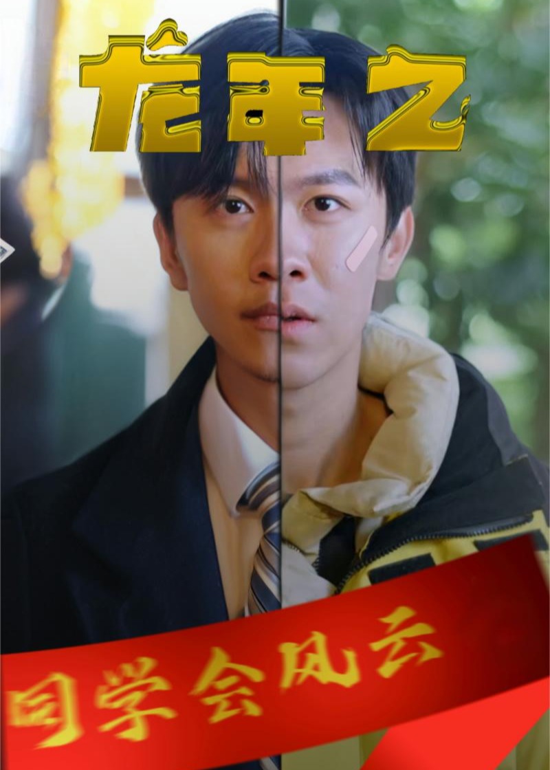 龙年之同学会风云海报