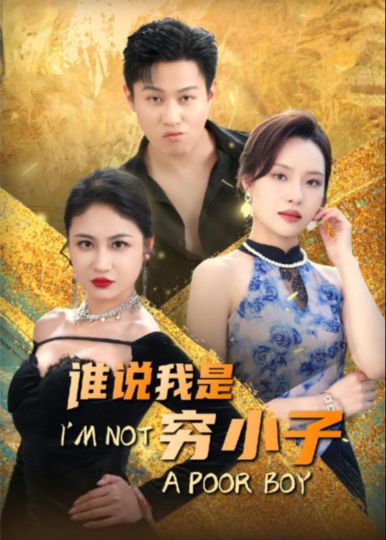 谁说我是穷小子海报