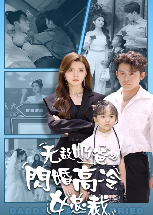 无敌奶爸闪婚高冷女总裁海报