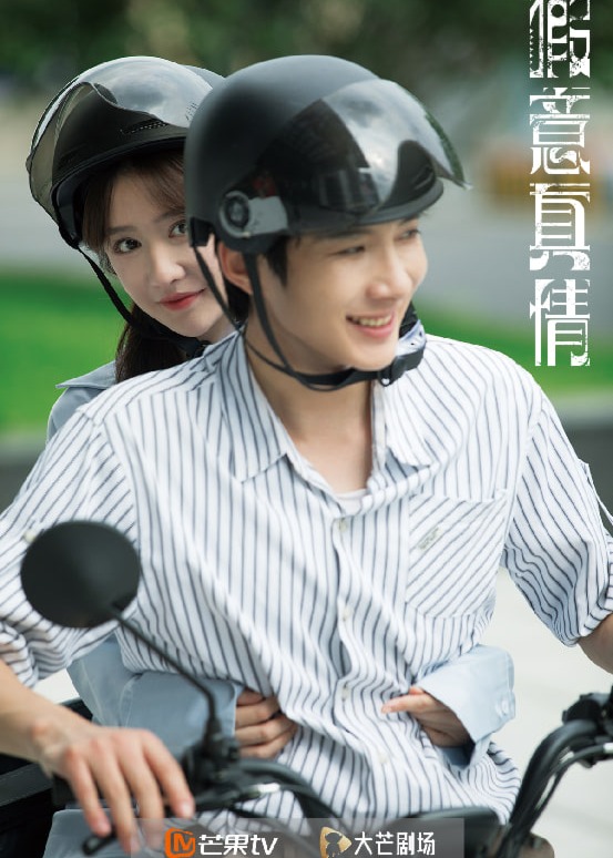 假意真情海报