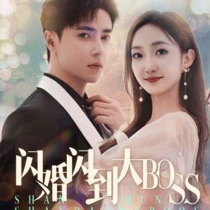 闪婚闪到大boss海报