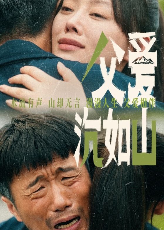 父爱沉如山海报