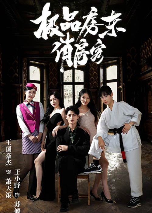 极品房东俏房客海报