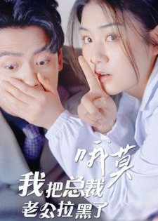 哦莫我把总裁老公拉黑了海报