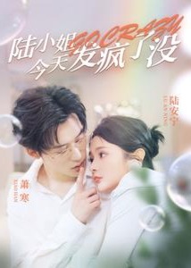 陆小姐今天发疯了没海报