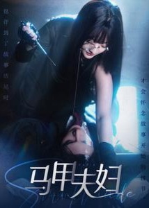 马甲夫妇海报