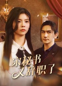 宋秘书又辞职了海报
