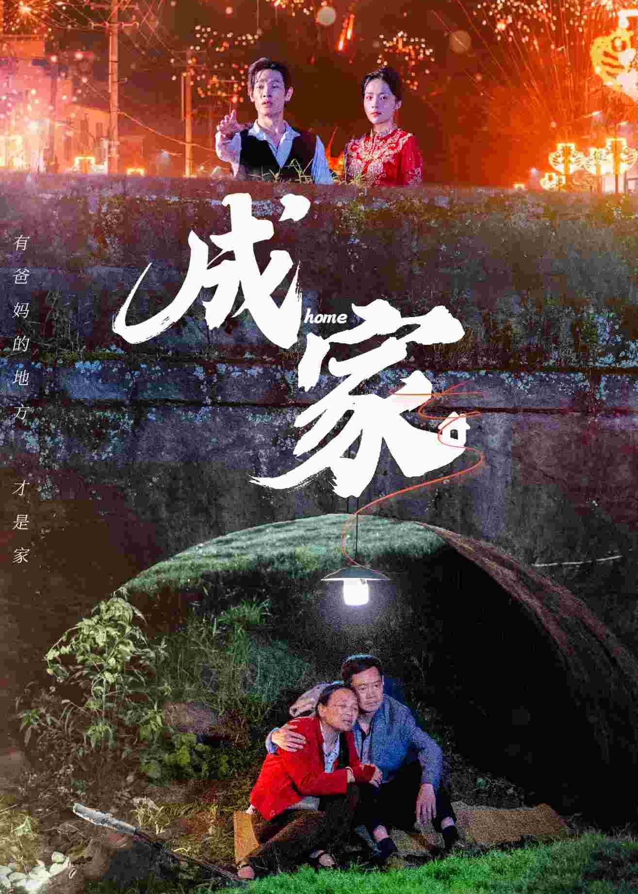成家海报