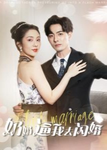 奶奶逼我去闪婚海报