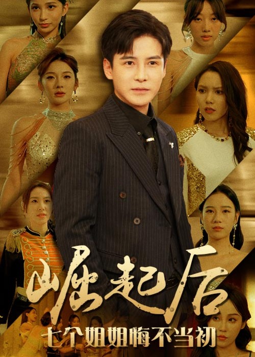 崛起后七个姐姐悔不当初海报