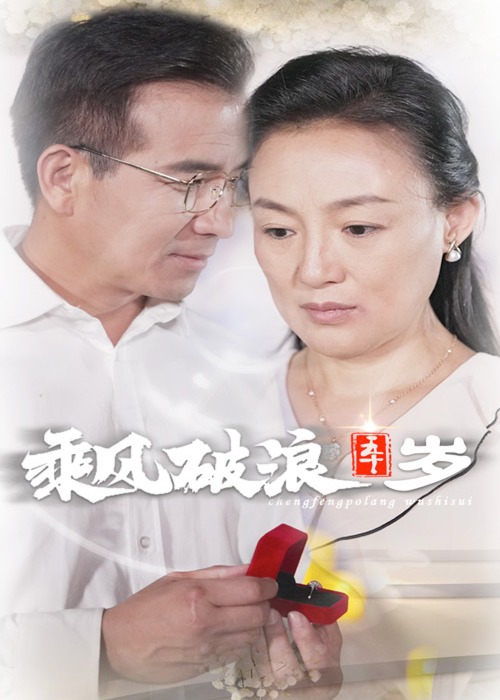 乘风破浪五十岁海报