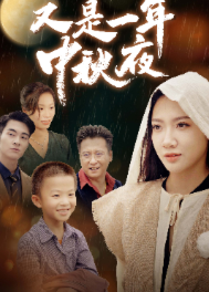 又是一年中秋夜海报