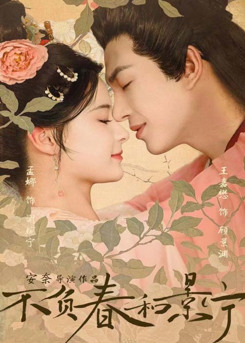 不负春和景宁海报