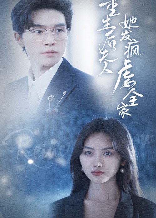 重生后夫人她发疯虐全家海报