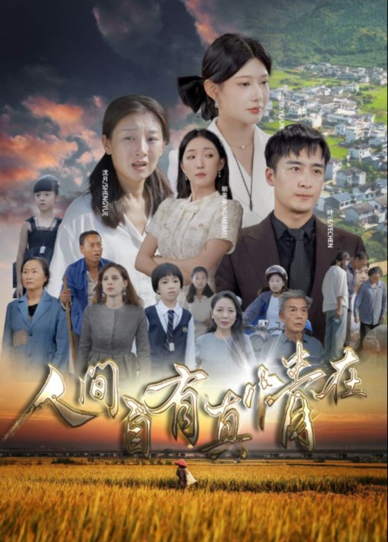 人间自有真情在海报