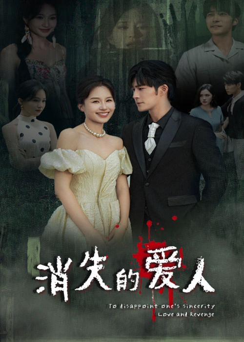 消失的爱人海报