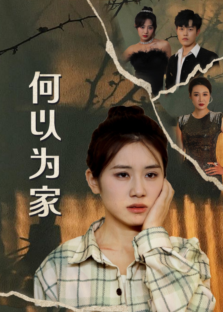 何以为家海报