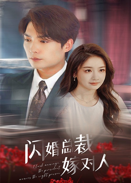 闪婚总裁嫁对人海报